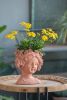 8x4x9" Visage Head Bust Planter, Brown - Home Wall Planter